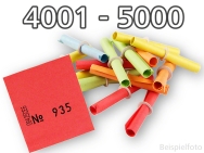 Lose 4001 - 5000