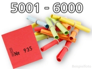 Lose 5001 - 6000
