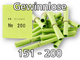 Röllchenlose grün, 151 - 200
