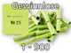 Röllchenlose grün, Set 1-900