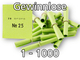 Röllchenlose grün, Set 1-1000