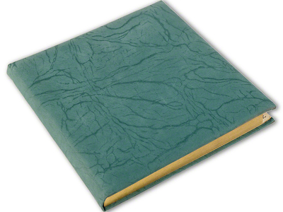 Golden Seal Tagebuch, bezogen mit echtem Leder, Handarbeit, 96 Blatt, grün