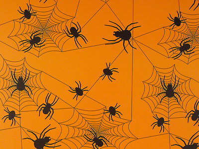 Motivkarton, 300g/m², 50x68 cm, 1 Bogen, "Spinnen"